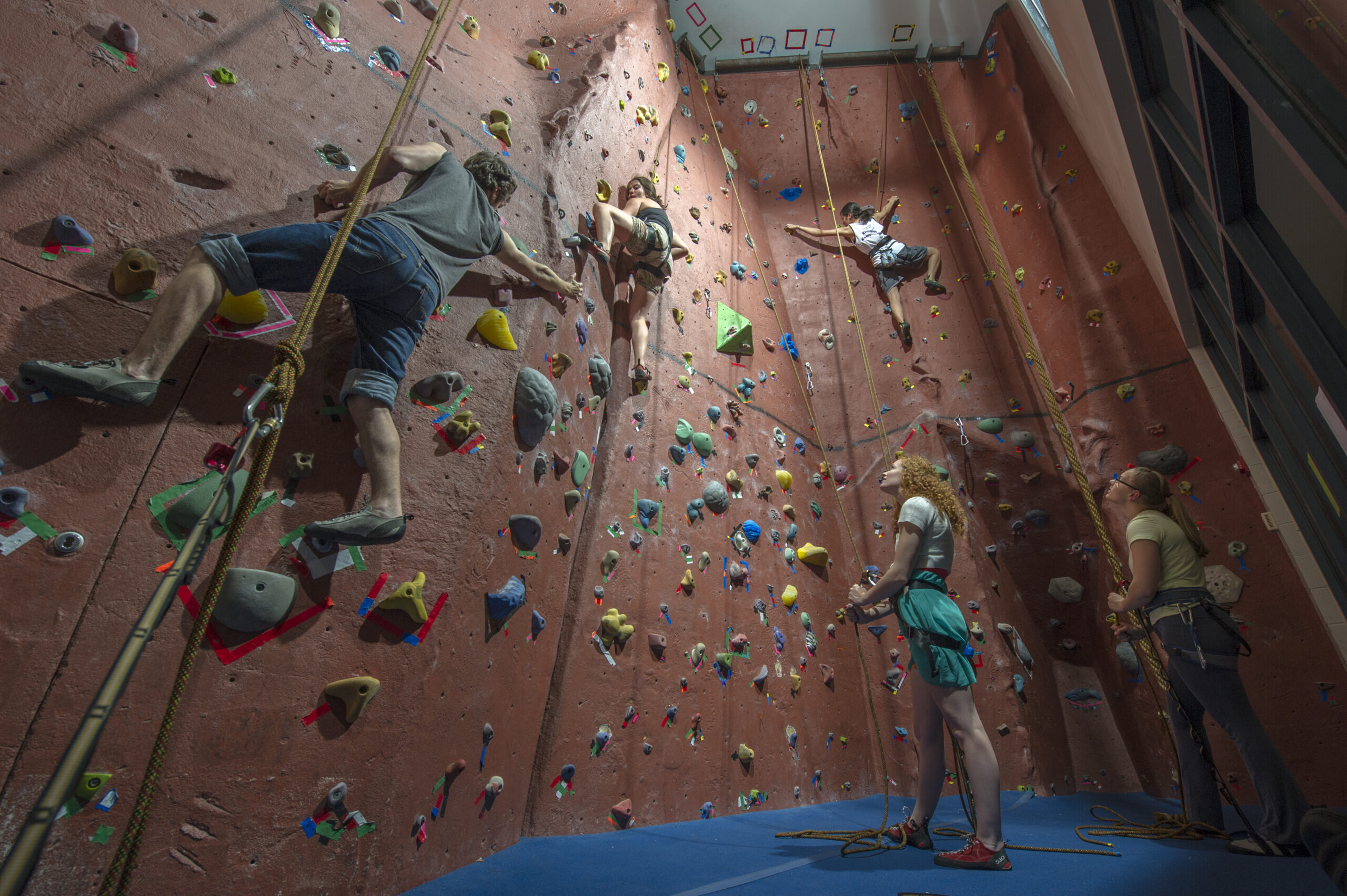 Climbing Wall photo